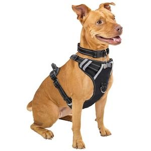 Winsee dog puppy pet harness black size large